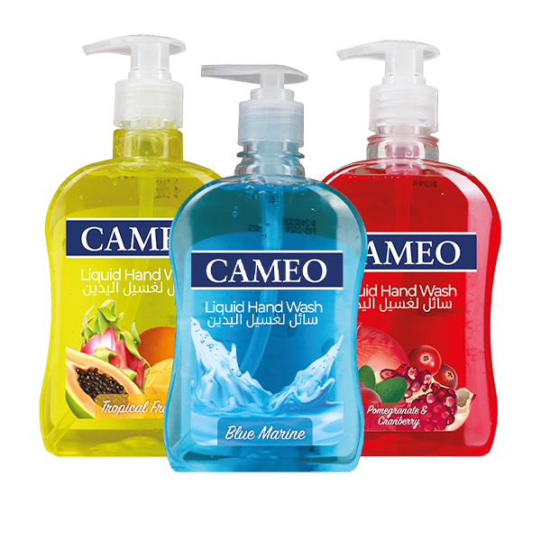 Cameo Liquid Hand Wash Shrink 500ml 3 pes | Hand Wash